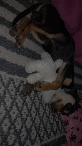 Guarderías En Chalco