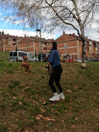 Guarderías En Durango