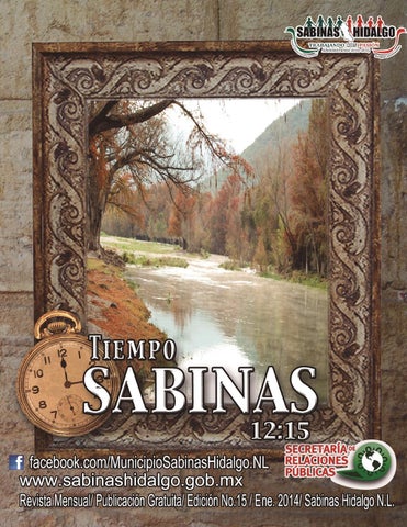 Guarderías En Sabinas Hidalgo